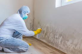 Best Residential Mold Inspection & Testing  in White Salmon, WA