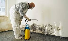 Best Commercial Mold Inspection  in White Salmon, WA