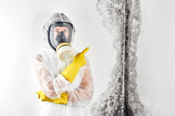 Best Water Damage & Mold Remediation  in White Salmon, WA