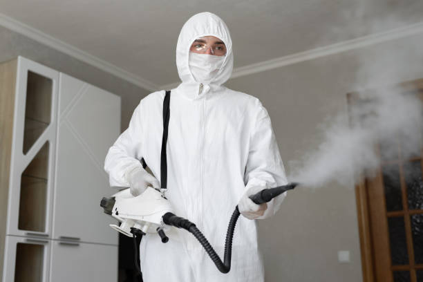 Best Environmental Consulting for Mold Prevention  in White Salmon, WA